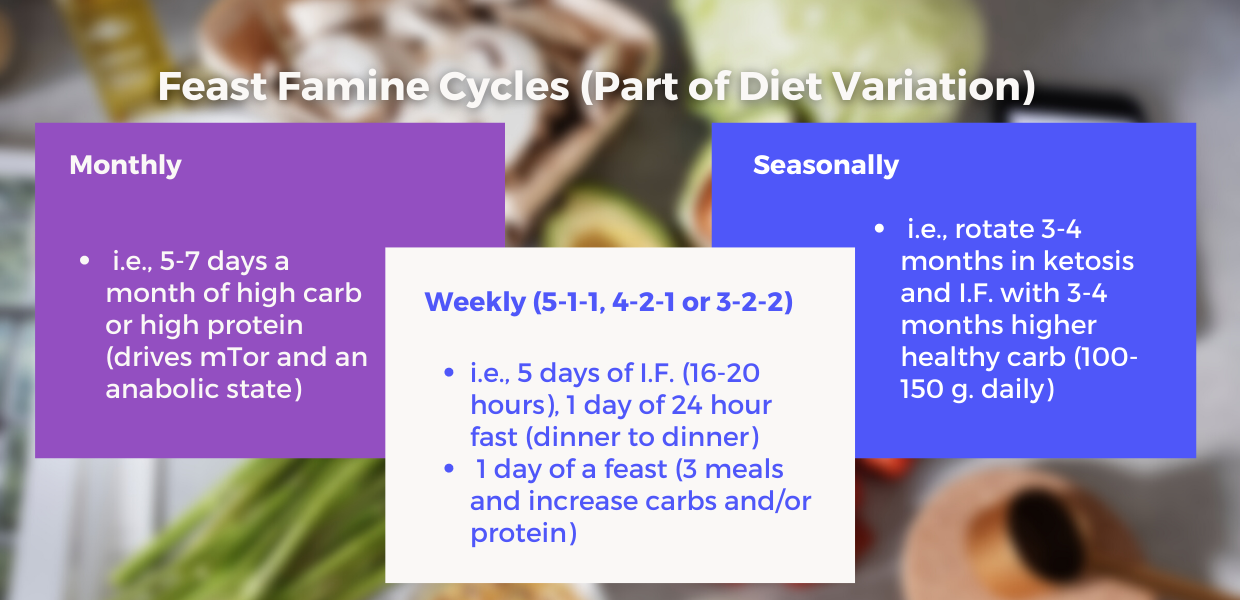 Menstrual Cycle Optimization with Feast/Famine Cycling 